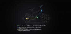 The Official Carbon Black E-Bike with Built-in Speakers & Bluetooth (Range up to 60km)